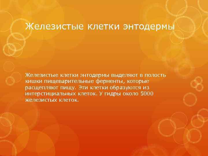 Железистые клетки энтодермы выделяют в полость кишки пищеварительные ферменты, которые расщепляют пищу. Эти клетки