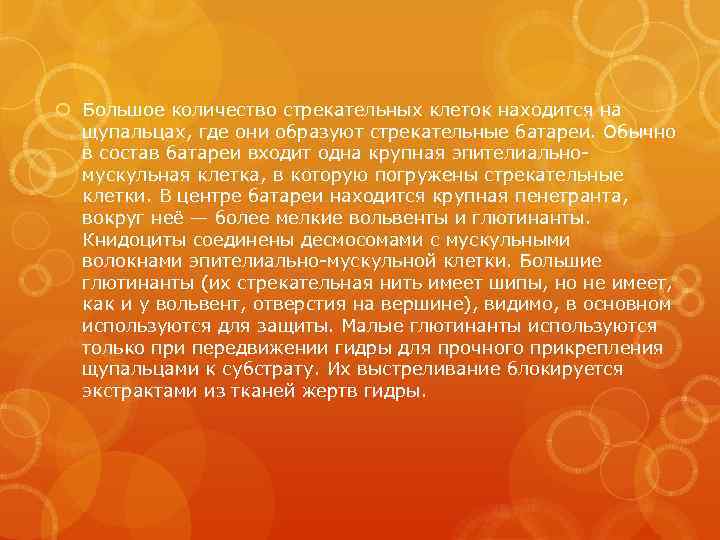  Большое количество стрекательных клеток находится на щупальцах, где они образуют стрекательные батареи. Обычно