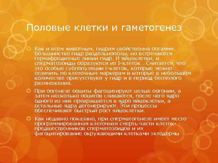 Половые клетки и гаметогенез Как и всем животным, гидрам свойственна оогамия. Большинство гидр раздельнополы,