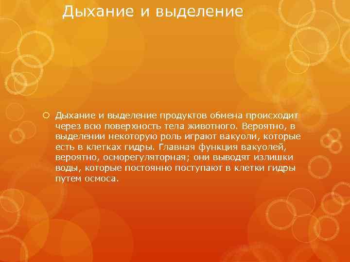 Дыхание и выделение продуктов обмена происходит через всю поверхность тела животного. Вероятно, в выделении