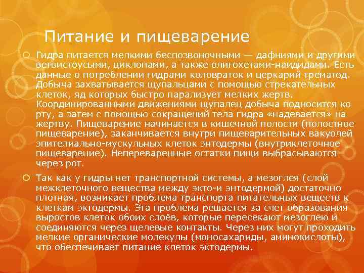 Питание и пищеварение Гидра питается мелкими беспозвоночными — дафниями и другими ветвистоусыми, циклопами, а