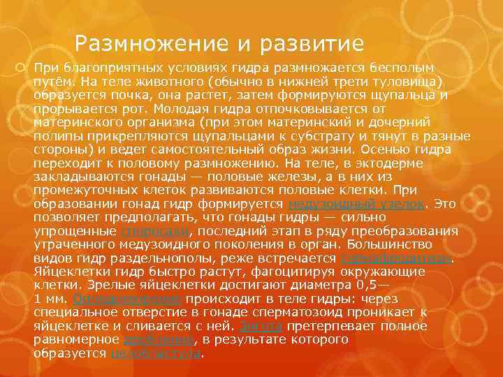 Размножение и развитие При благоприятных условиях гидра размножается бесполым путём. На теле животного (обычно