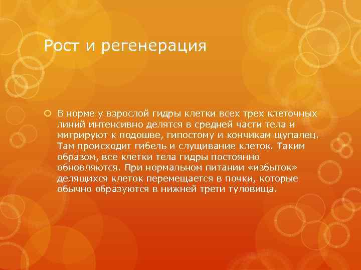 Рост и регенерация В норме у взрослой гидры клетки всех трех клеточных линий интенсивно