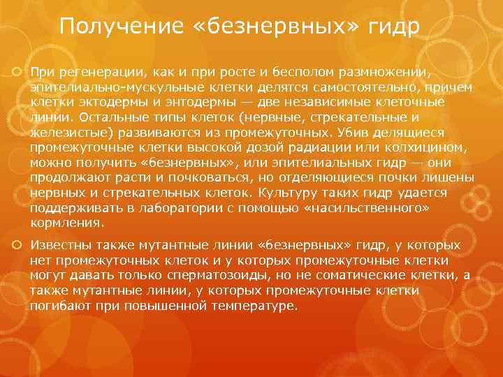 Получение «безнервных» гидр При регенерации, как и при росте и бесполом размножении, эпителиально-мускульные клетки