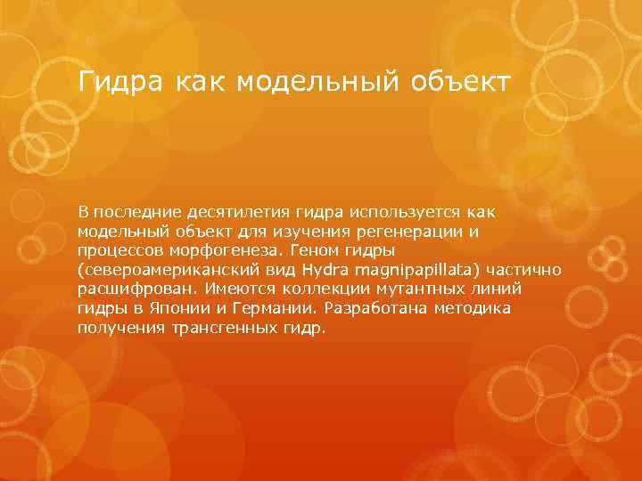 Гидра как модельный объект В последние десятилетия гидра используется как модельный объект для изучения