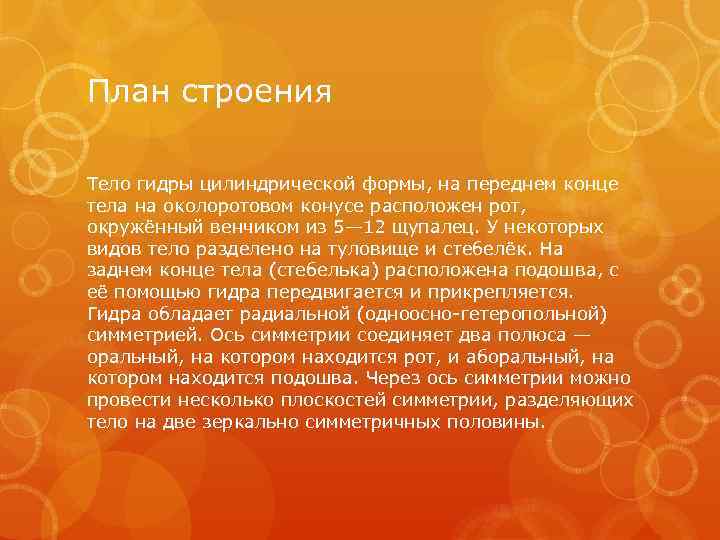 План строения Тело гидры цилиндрической формы, на переднем конце тела на околоротовом конусе расположен