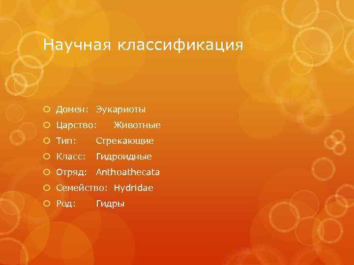 Научная классификация Домен: Эукариоты Царство: Тип: Животные Стрекающие Класс: Гидроидные Отряд: Anthoathecata Семейство: Hydridae