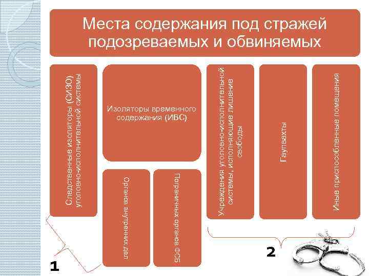 Содержание подозреваемых. Места содержания под стражей. Места содержания под стражей подозреваемых и обвиняемых. Структура ИВС. Места содержания под страже.