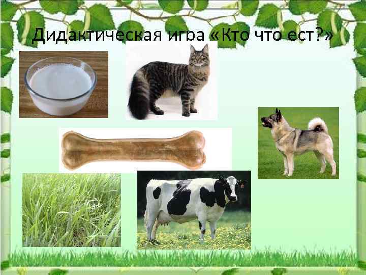 Дидактическая игра «Кто что ест? » 