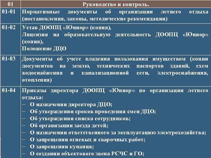 01 01 -02 Руководство и контроль. Нормативные документы об организации летнего отдыха (постановления, законы,
