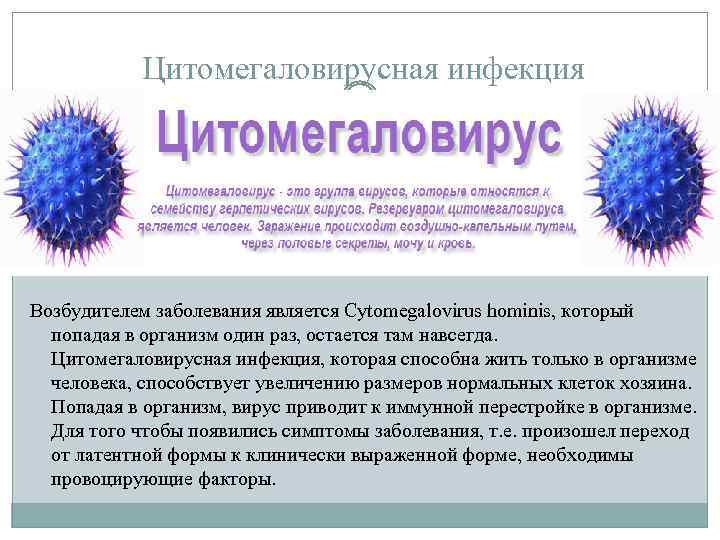 Цитомегаловирусная инфекция Возбудителем заболевания является Cytomegalovirus hominis, который попадая в организм один раз, остается