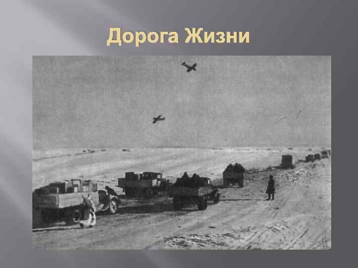 Дорога Жизни 