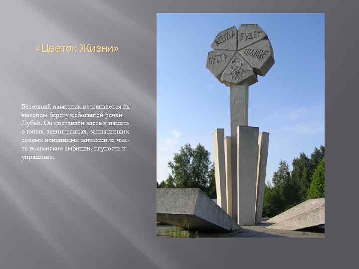  «Цветок Жизни» Бетонный памятник возвышается на высоком берегу небольшой речки Лубьи. Он поставлен
