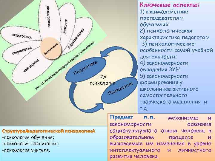 Ключевые аспекты: а к оги г а ед П Пед. психология х Пси -психология