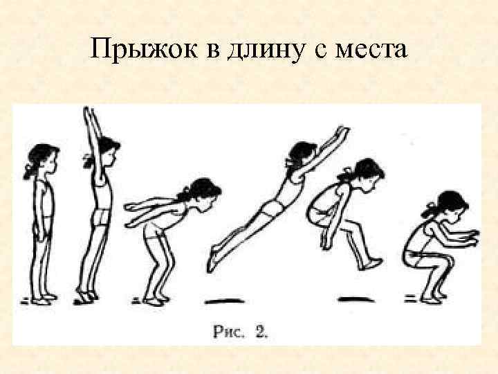Прыжок в длину с места 