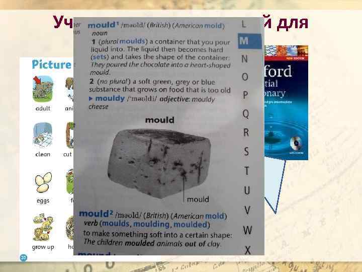 Учим готовить глоссарий для проекта и– ци ни !!! фи есь Де зд 
