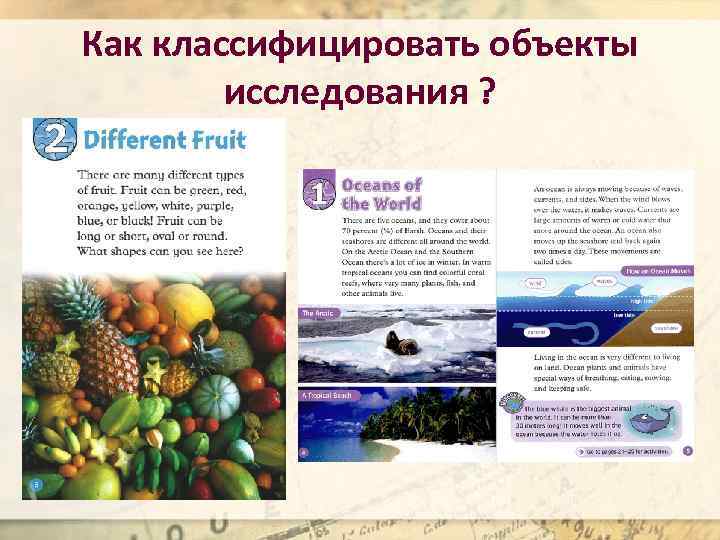 Как классифицировать объекты исследования ? 