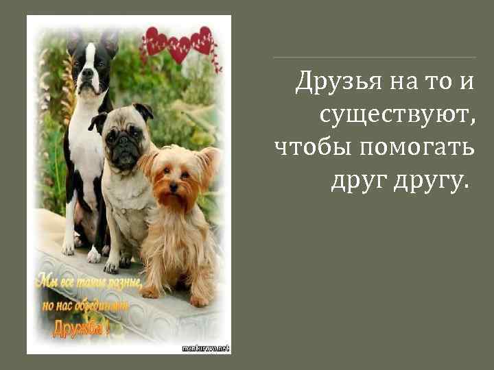 Друзья на то и существуют, чтобы помогать другу. 