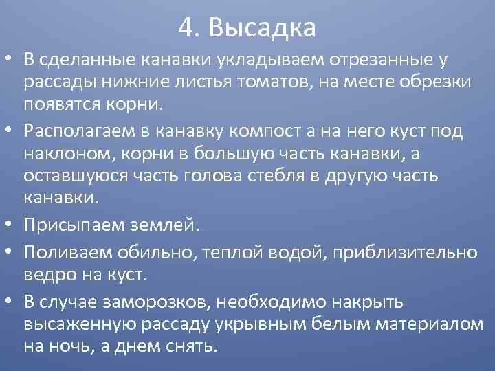 4. Высадка • В сделанные канавки укладываем отрезанные у рассады нижние листья томатов, на