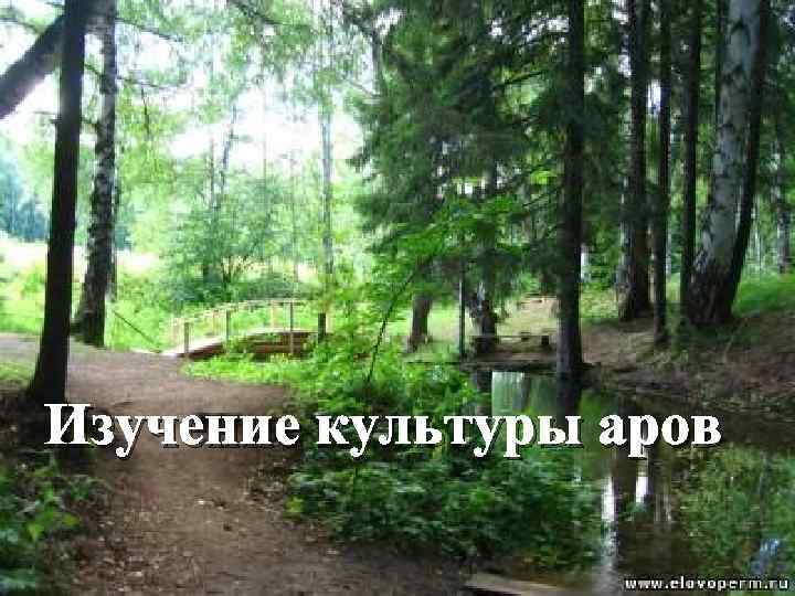Изучение культуры аров 
