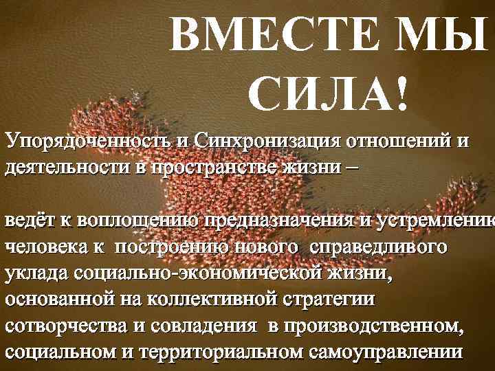 ВМЕСТЕ МЫ СИЛА! Упорядоченность и Синхронизация отношений и деятельности в пространстве жизни – ведёт