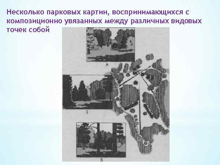 Несколько парковых картин, воспринимающихся с композиционно увязанных между различных видовых точек собой 