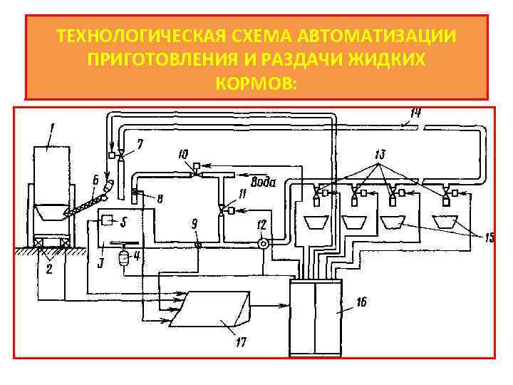 Технологическая схема раздачи кормов