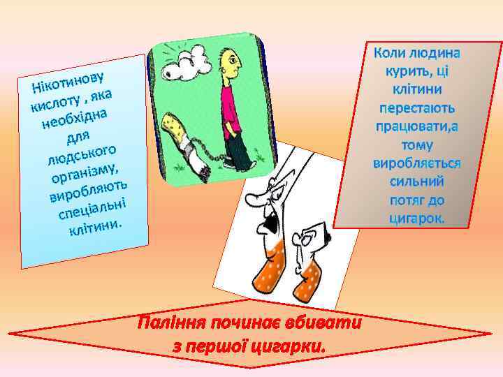 Коли людина курить, ці клітини перестають працювати, а тому виробляється сильний потяг до цигарок.