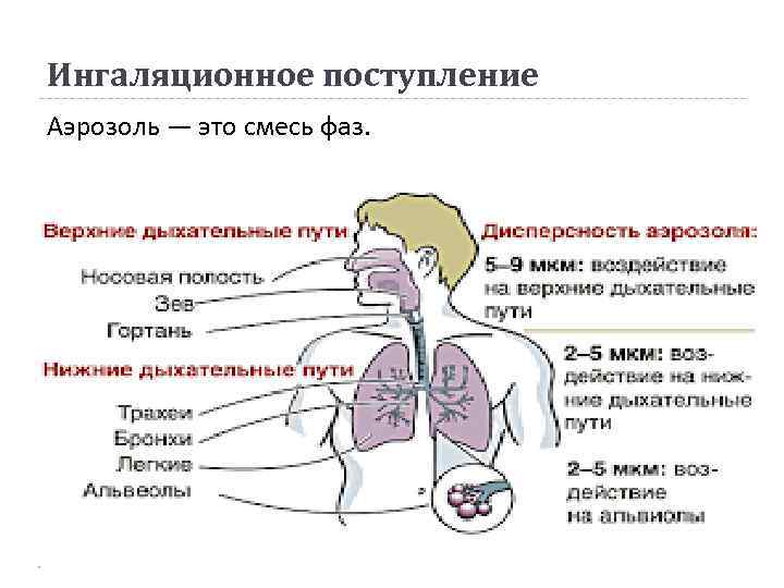 Химические факторы механизм действия