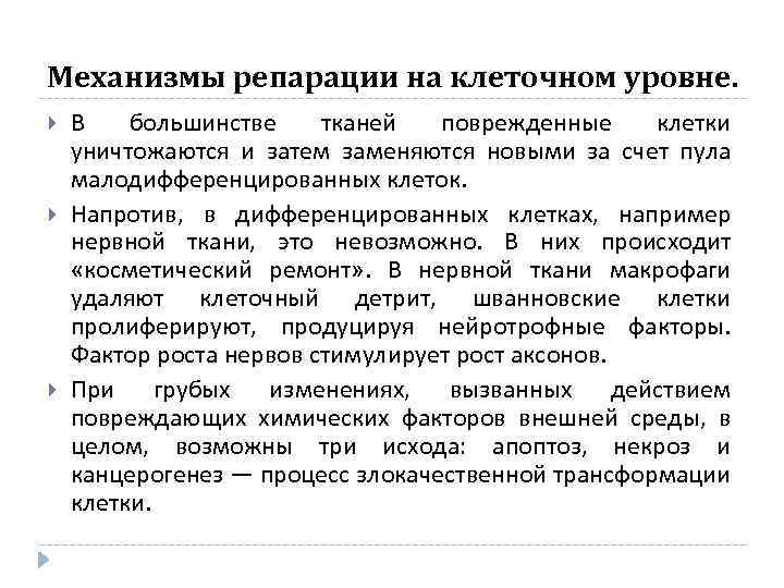 Механизмы репарации на клеточном уровне. В большинстве тканей поврежденные клетки уничтожаются и затем заменяются