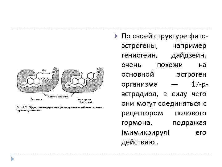  По своей структуре фитоэстрогены, например генистеин, дайдзеин, очень похожи на основной эстроген организма