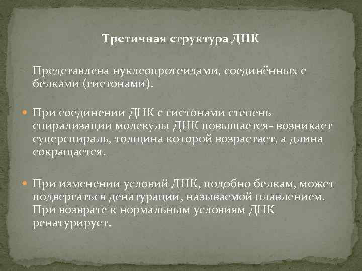 Третичная структура ДНК - Представлена нуклеопротеидами, соединённых с белками (гистонами). При соединении ДНК с