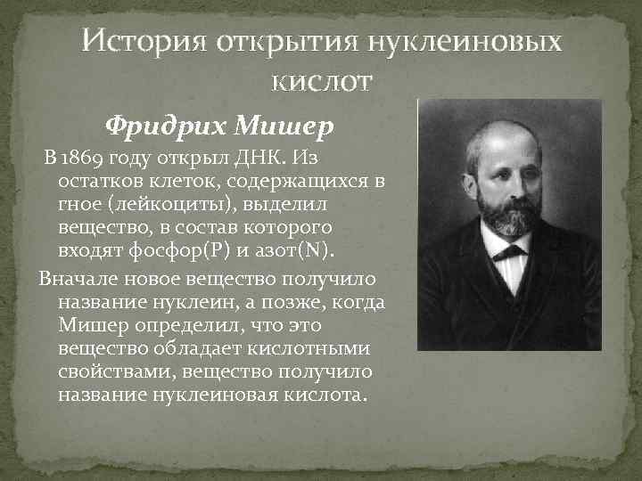 Мишер