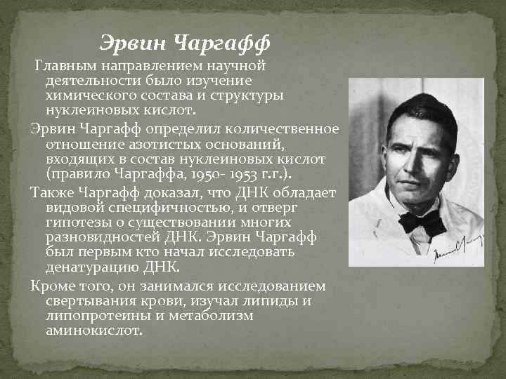 Эрвин Чаргафф Главным направлением научной деятельности было изучение химического состава и структуры нуклеиновых кислот.