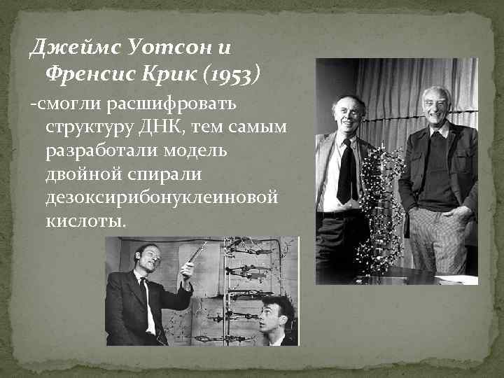 Джеймс Уотсон и Френсис Крик (1953) -смогли расшифровать структуру ДНК, тем самым разработали модель