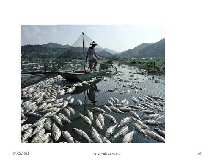 04. 02. 2018 http: //aida. ucoz. ru 10 