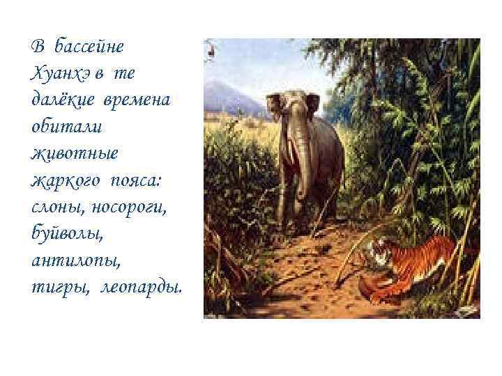 В бассейне Хуанхэ в те далёкие времена обитали животные жаркого пояса: слоны, носороги, буйволы,