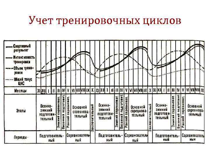 Учет тренировочных циклов 