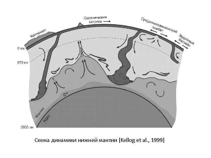 Схема динамики нижней мантии [Kellog et al. , 1999] 