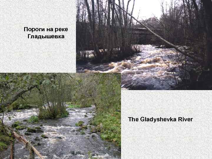 Пороги на реке Гладышевка The Gladyshevka River 