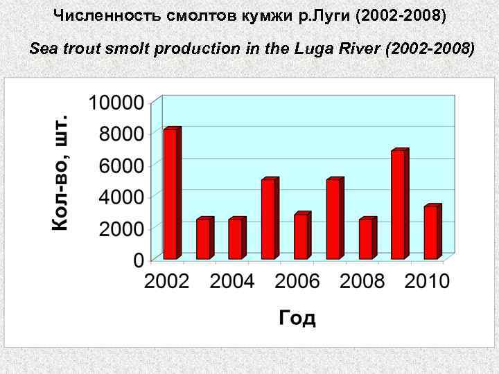 Численность смолтов кумжи р. Луги (2002 -2008) Sea trout smolt production in the Luga
