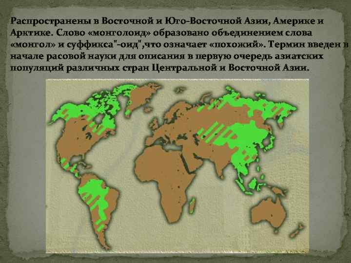 Распространены в Восточной и Юго-Восточной Азии, Америке и Арктике. Слово «монголоид» образовано объединением слова