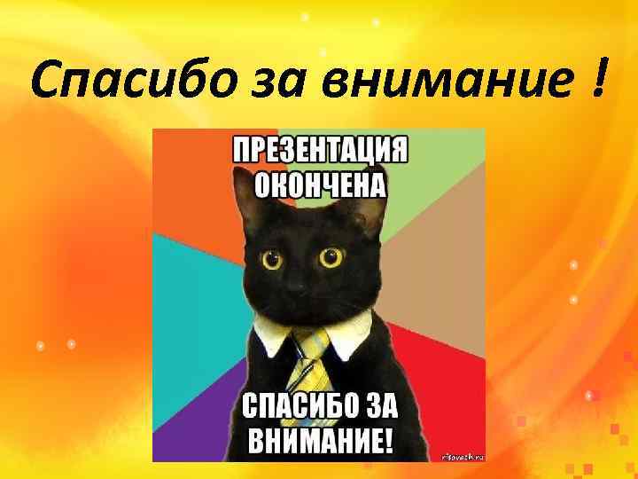 Спасибо за внимание ! 