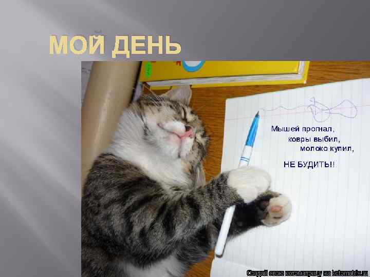 МОЙ ДЕНЬ вкраааппп 