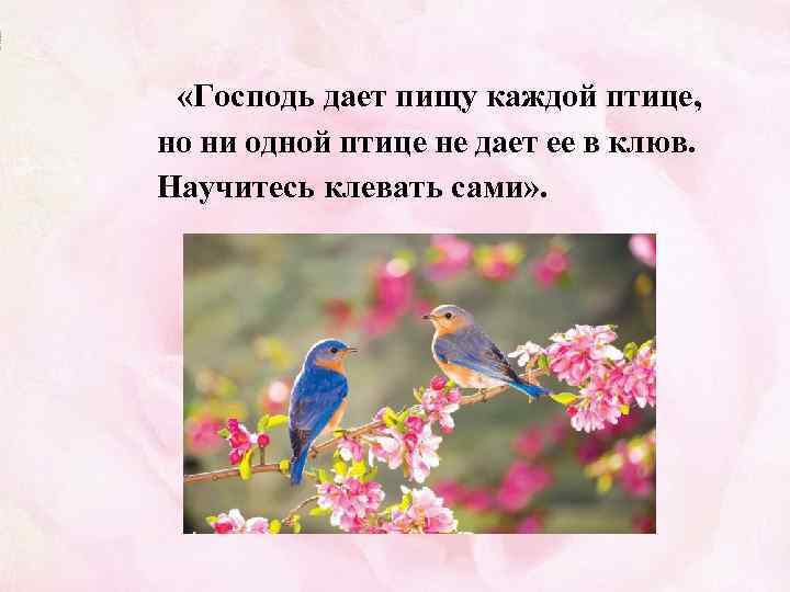  «Господь дает пищу каждой птице, но ни одной птице не дает ее в