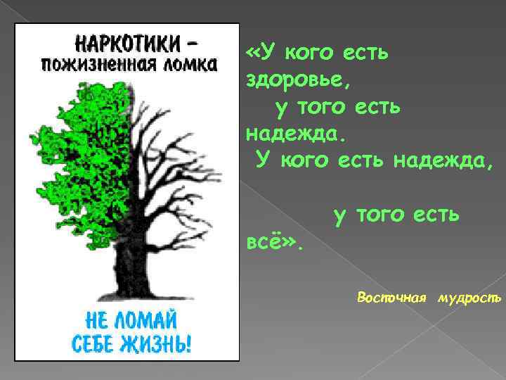  «У кого есть здоровье, у того есть надежда. У кого есть надежда, всё»