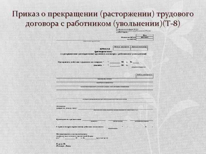 Трудовой договор план по обществознанию егэ