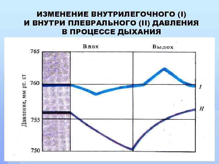 ИЗМЕНЕНИЕ ВНУТРИЛЕГОЧНОГО (I) И ВНУТРИ ПЛЕВРАЛЬНОГО (II) ДАВЛЕНИЯ В ПРОЦЕССЕ ДЫХАНИЯ 