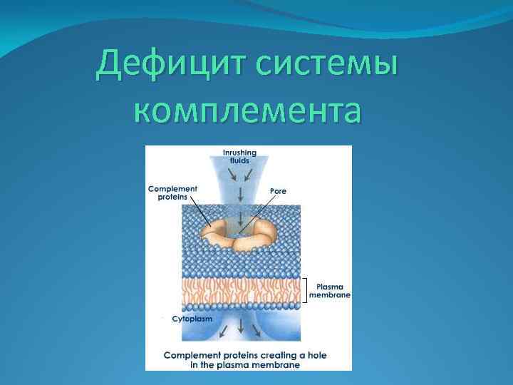 Дефицит системы комплемента 