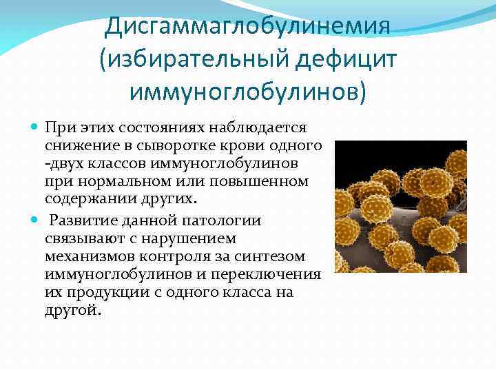 Дисгаммаглобулинемия (избирательный дефицит иммуноглобулинов) При этих состояниях наблюдается снижение в сыворотке крови одного -двух